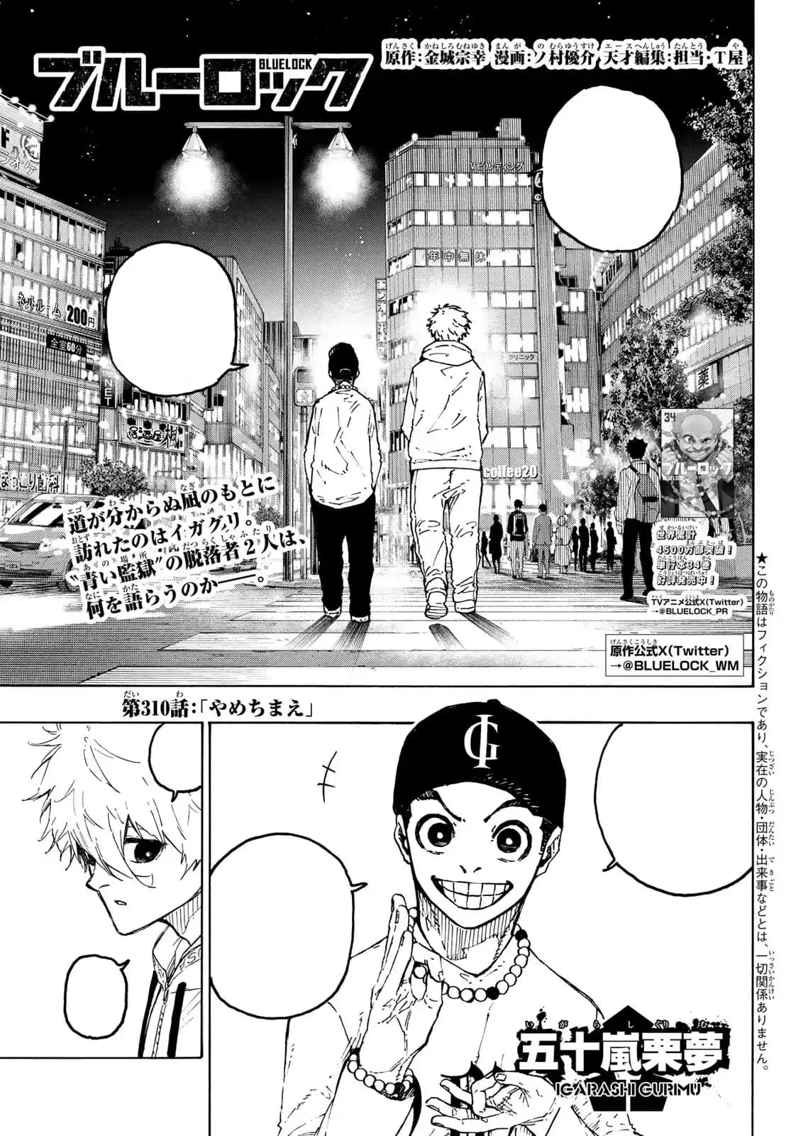 Official cover art of Chapter 310