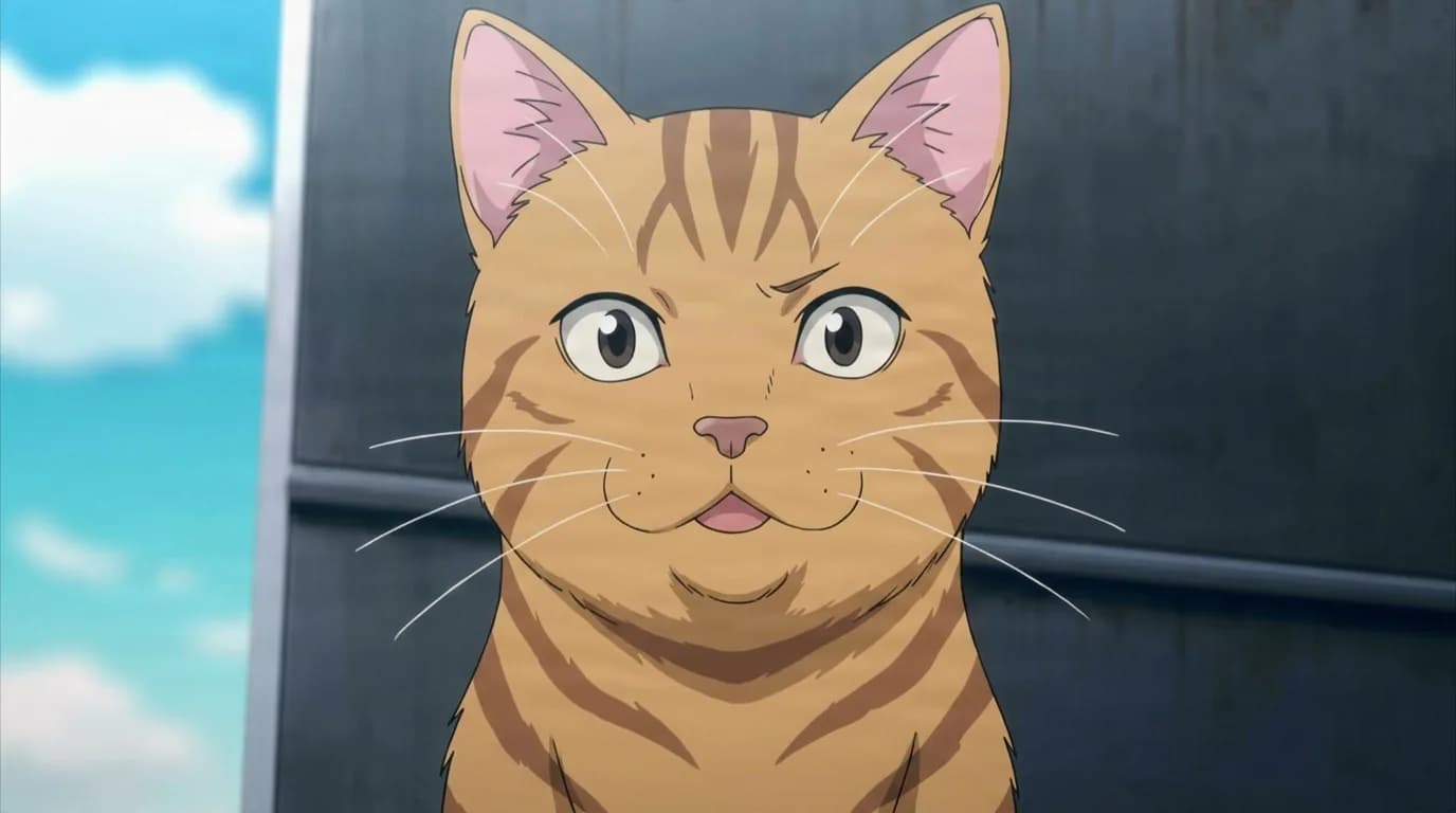 Monster Cat from My Hero Academia in a close-framed cel-shaded anime scene with a detailed environment