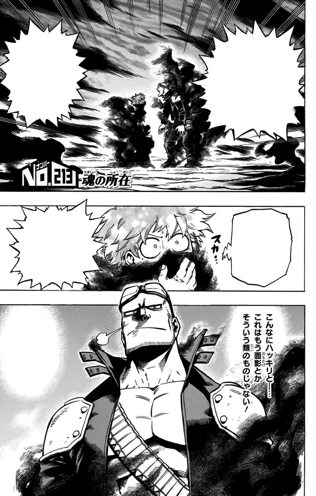 Official cover art of Chapter 213