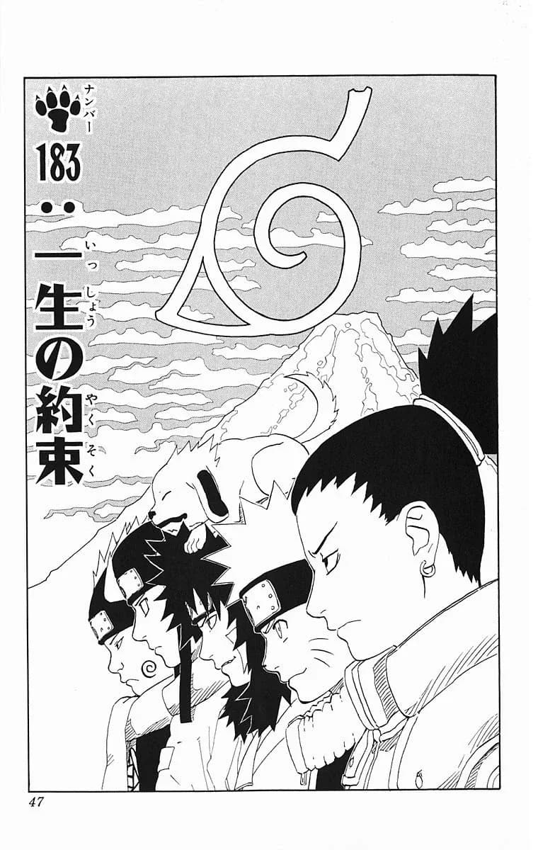Official cover art of The Promise of a Lifetime