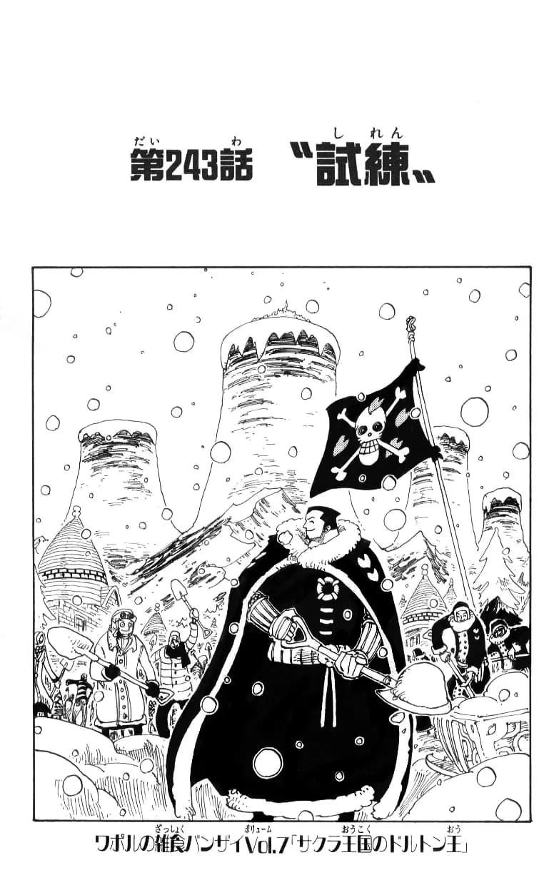 Official cover art of Chapter 243