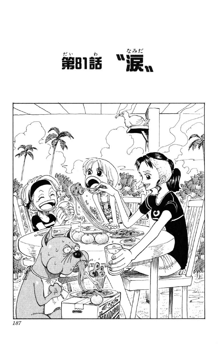 Official cover art of Chapter 81
