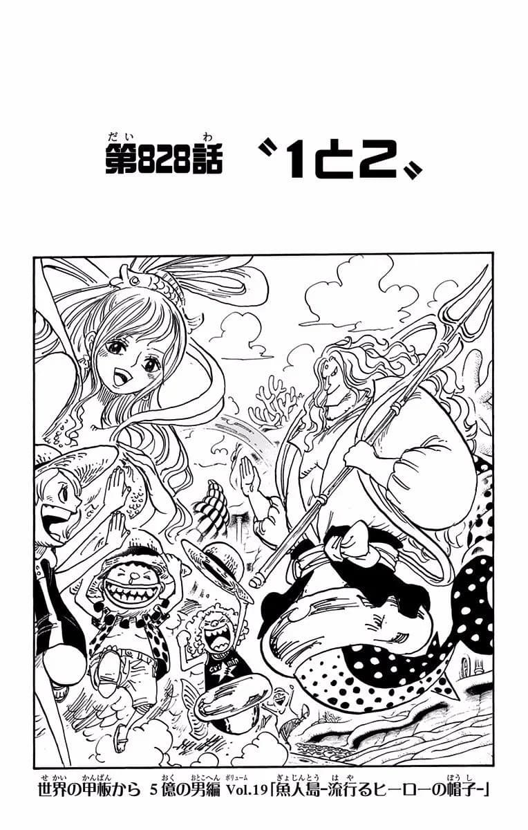 Official cover art of Chapter 828