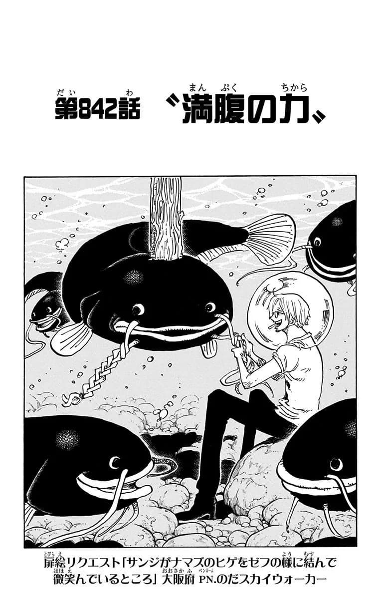 Official cover art of Chapter 842