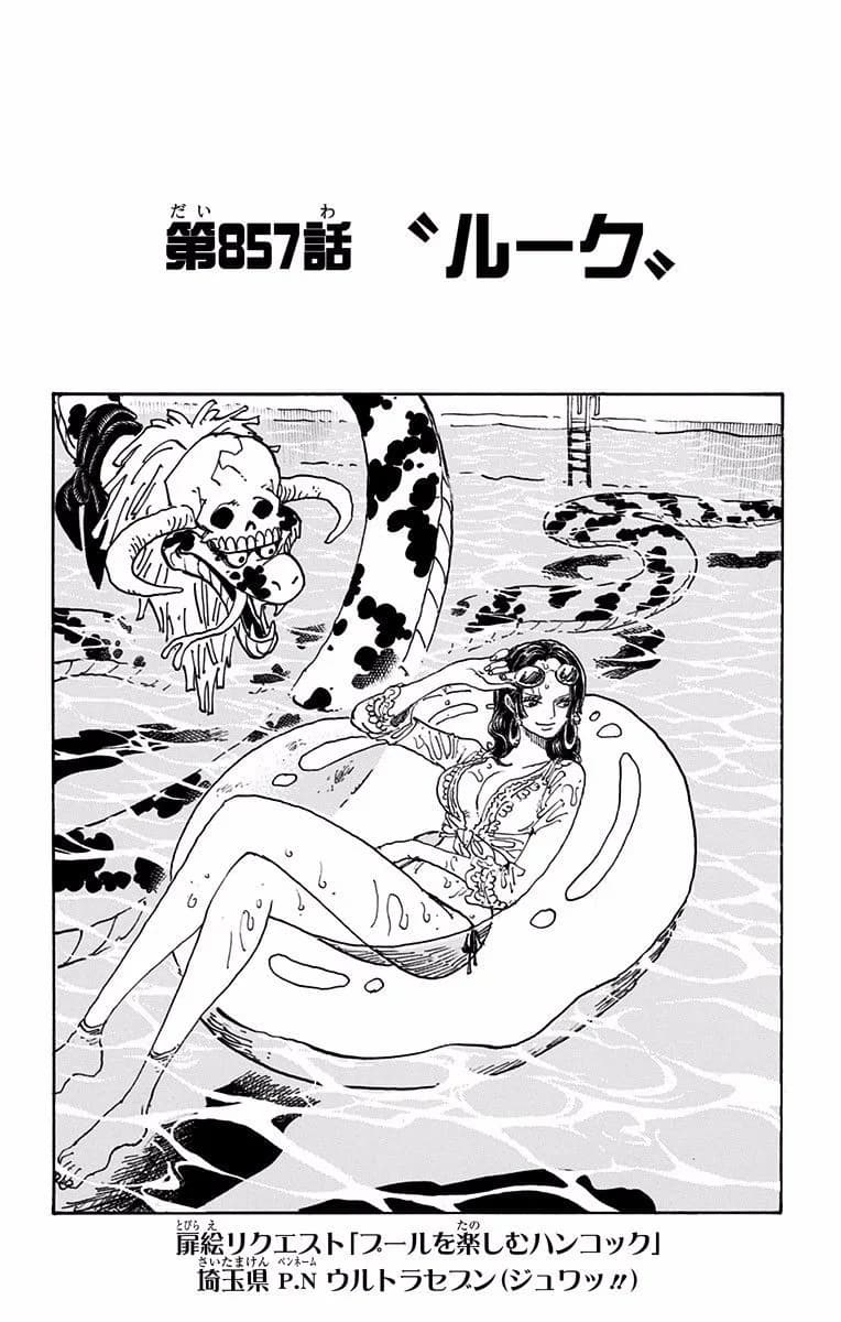 Official cover art of Rook