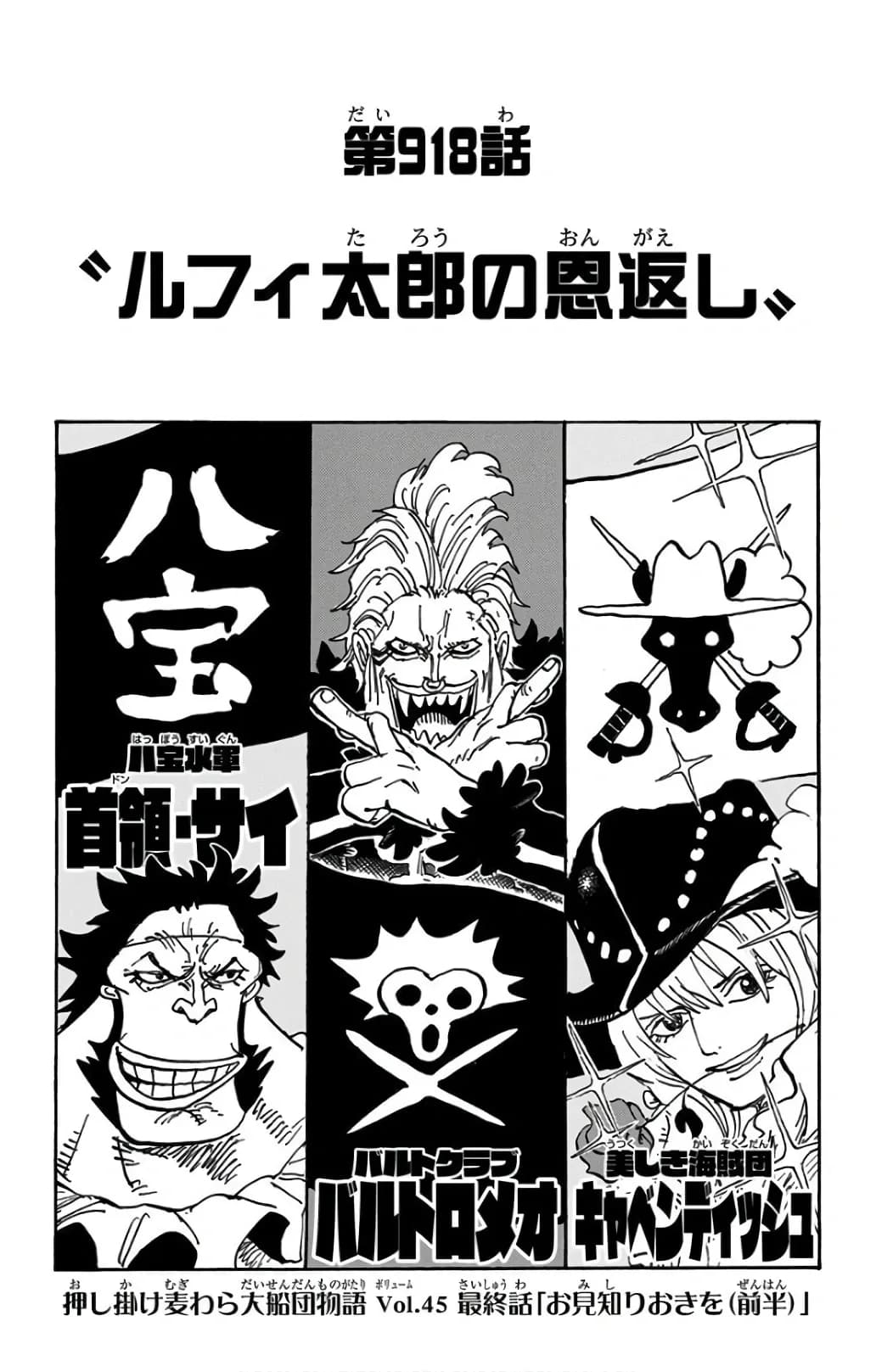 Official cover art of Luffy-tarou Returns the Favor