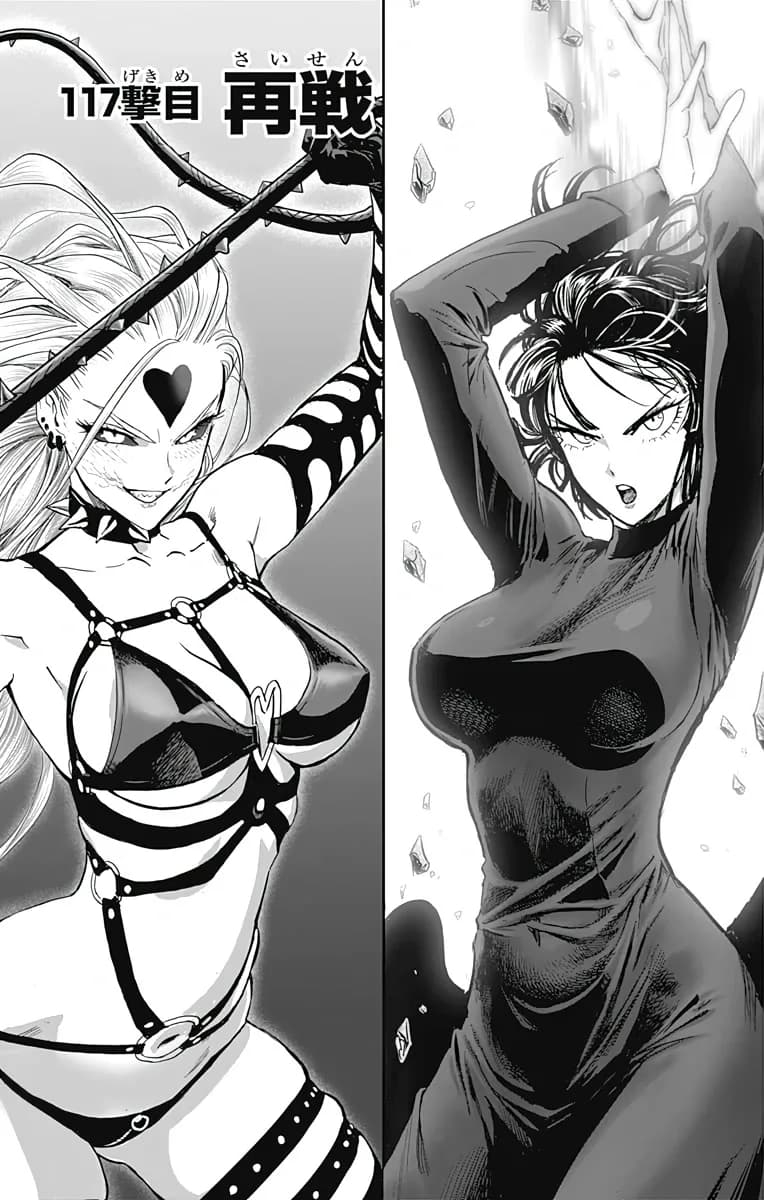 غلاف رسمي لـالفصل 117