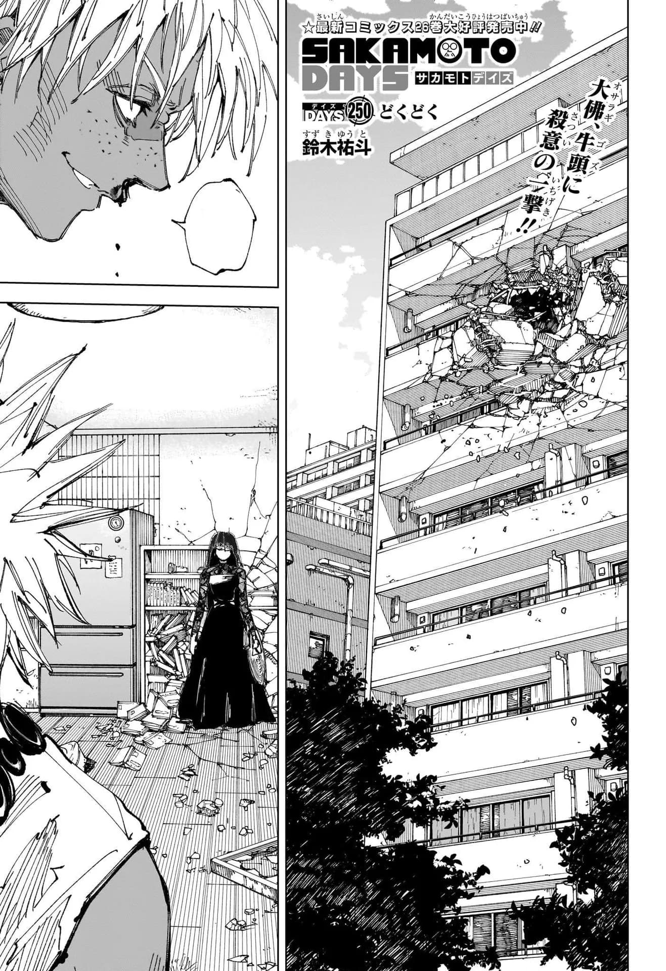 Official cover art of Chapter 250