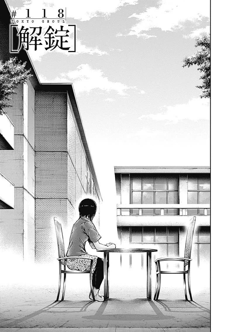 Official cover art of Chapter 118