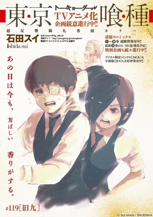 Official cover art of Chapter 119