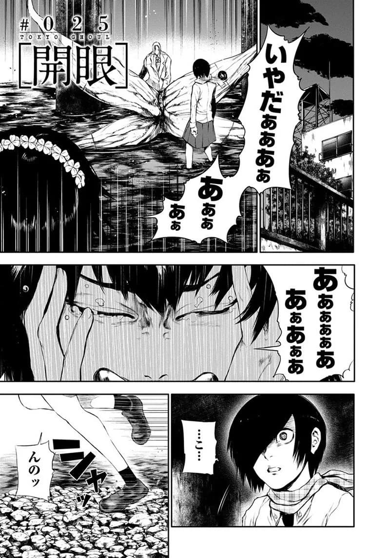 Official cover art of Chapter 25