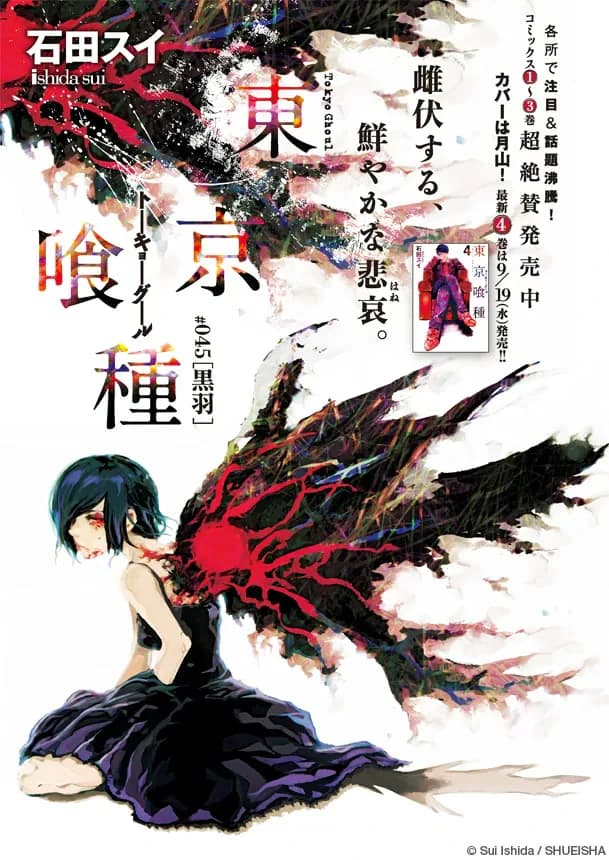 Official cover art of Black Wing