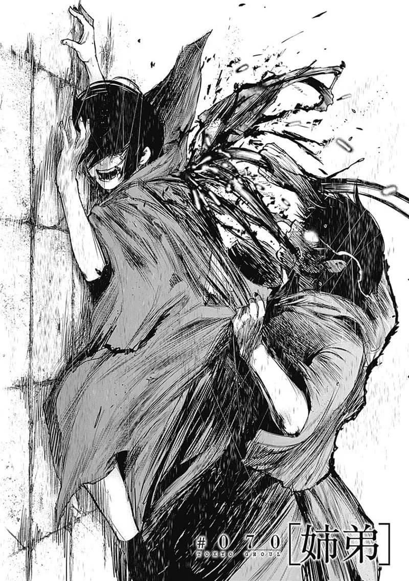 Official cover art of Chapter 70