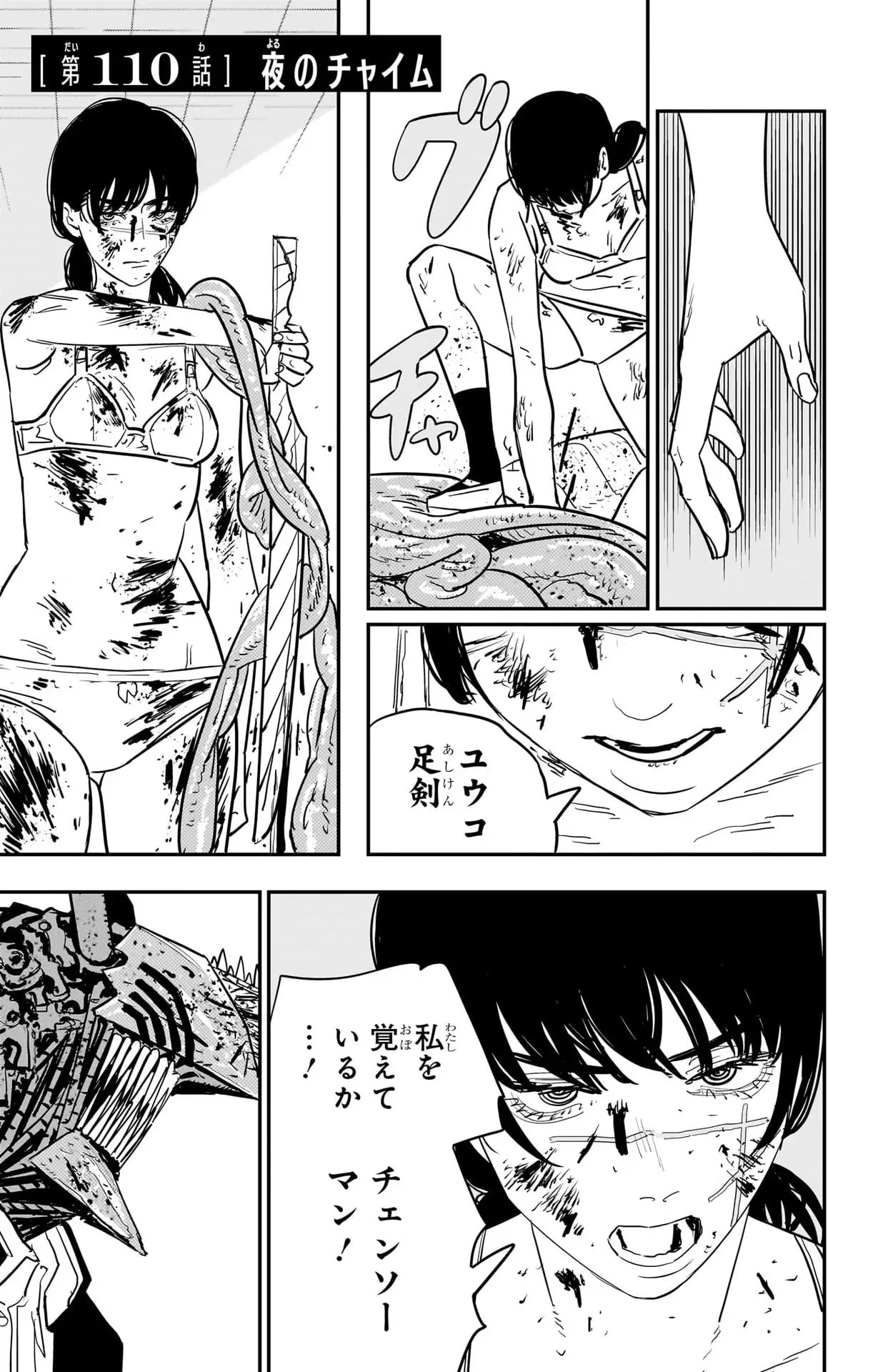 Official cover art of Chapter 110: A Ring in the Night