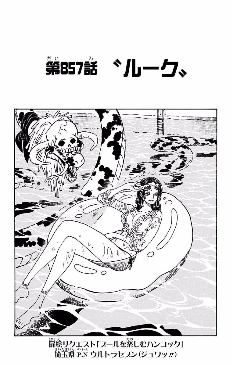 Official cover art of Rook