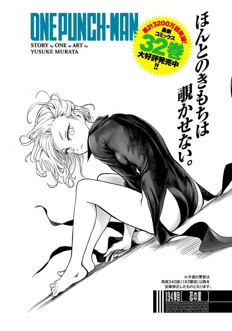 「忍の里」の公式カバーアート