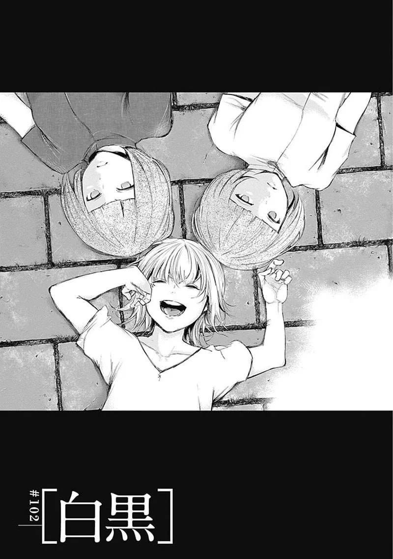 Official cover art of Chapter 102