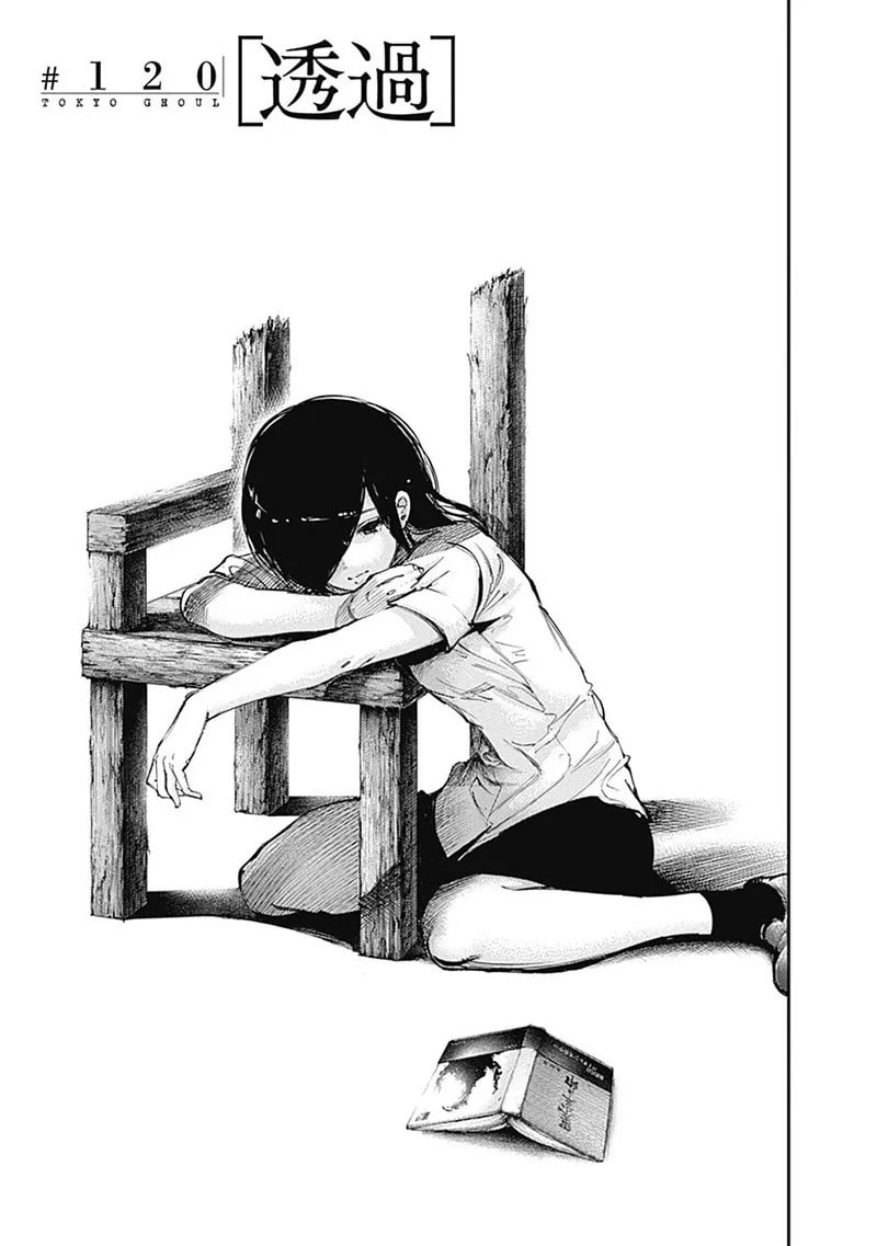 Official cover art of Chapter 120