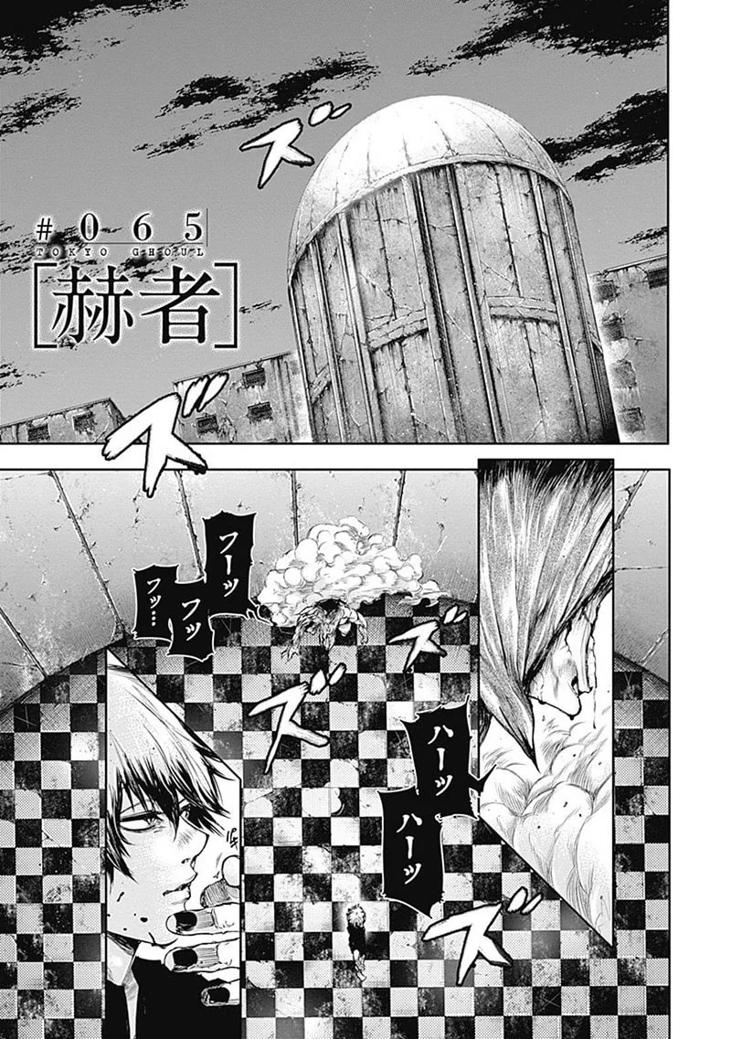 Official cover art of Chapter 65