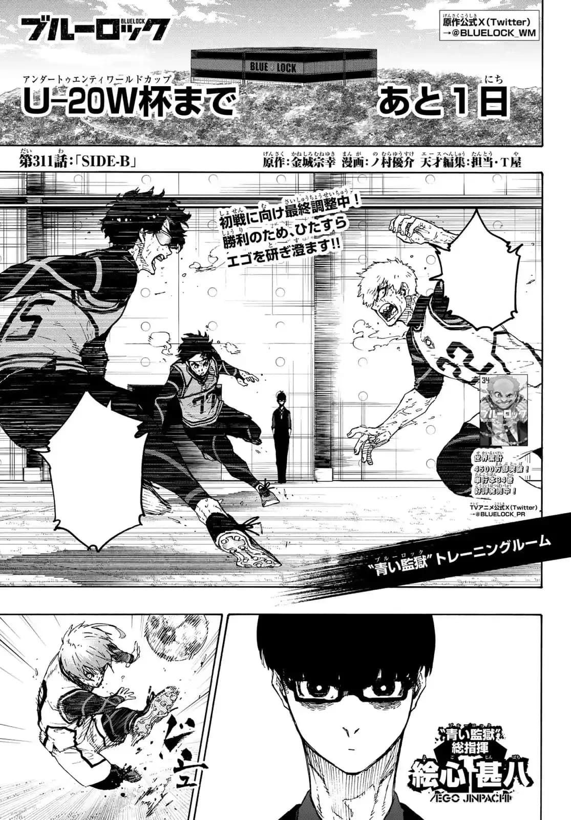 Official cover art of Chapter 311