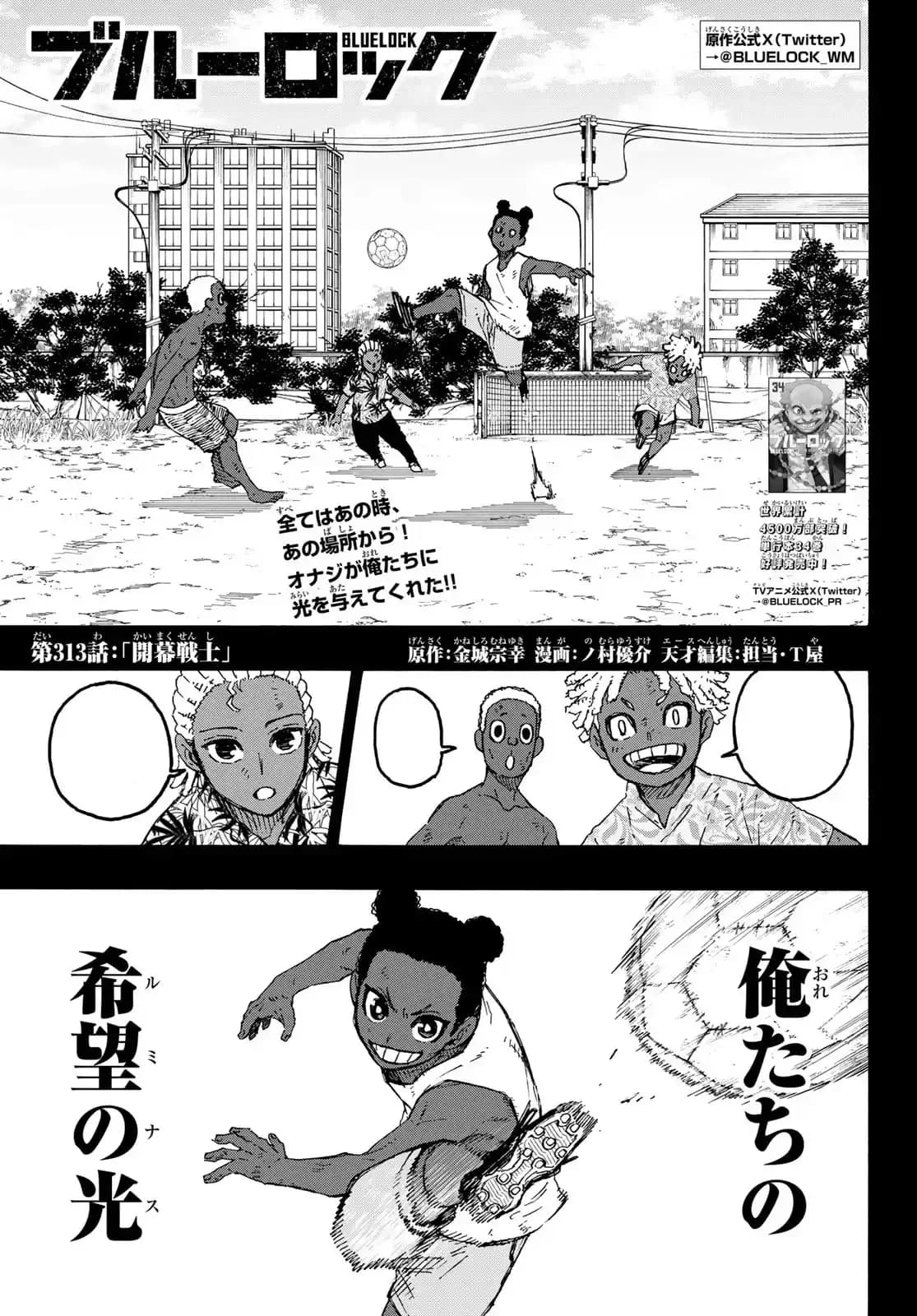 Official cover art of Chapter 313