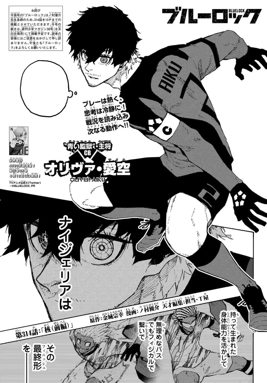 Official cover art of Chapter 314
