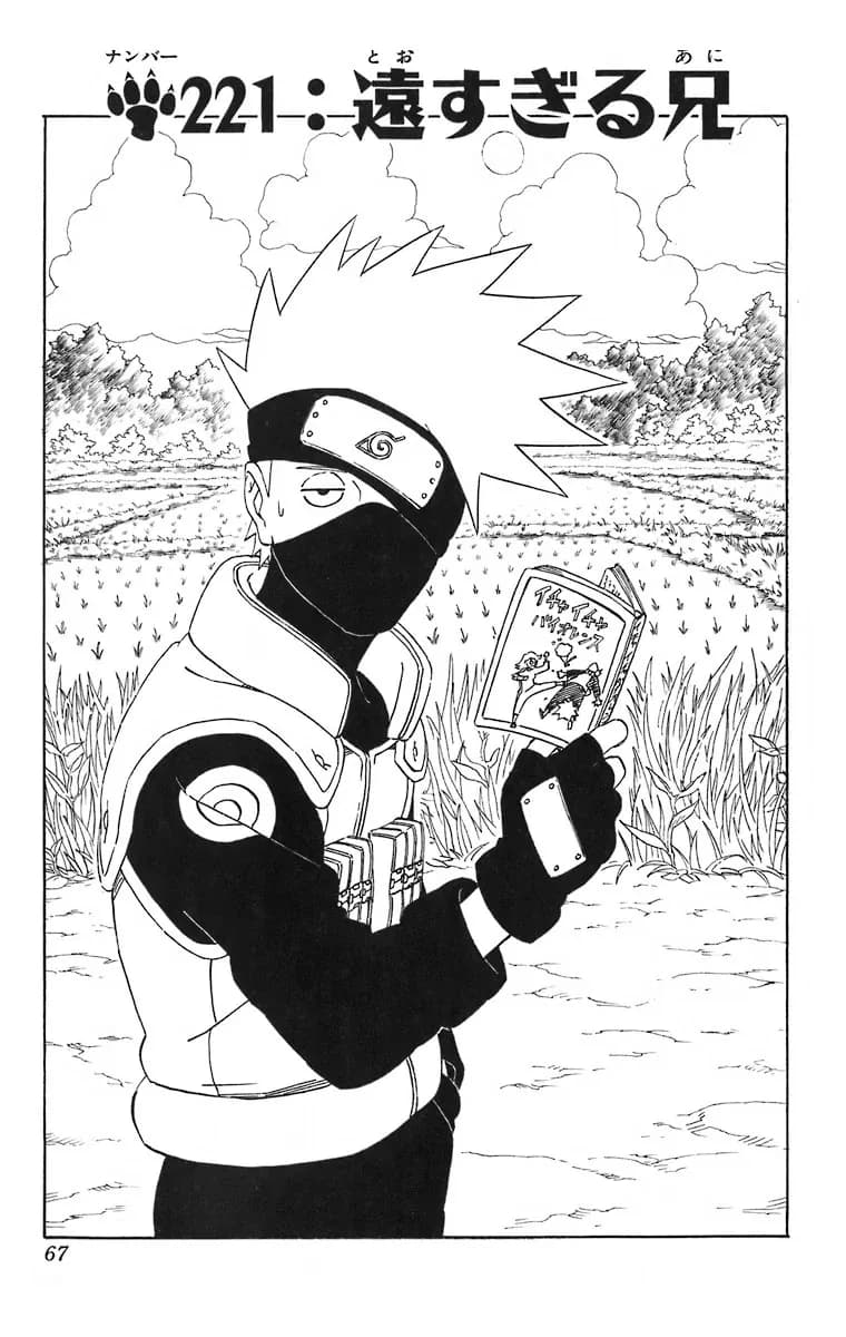 Official cover art of The Too Distant Elder Brother