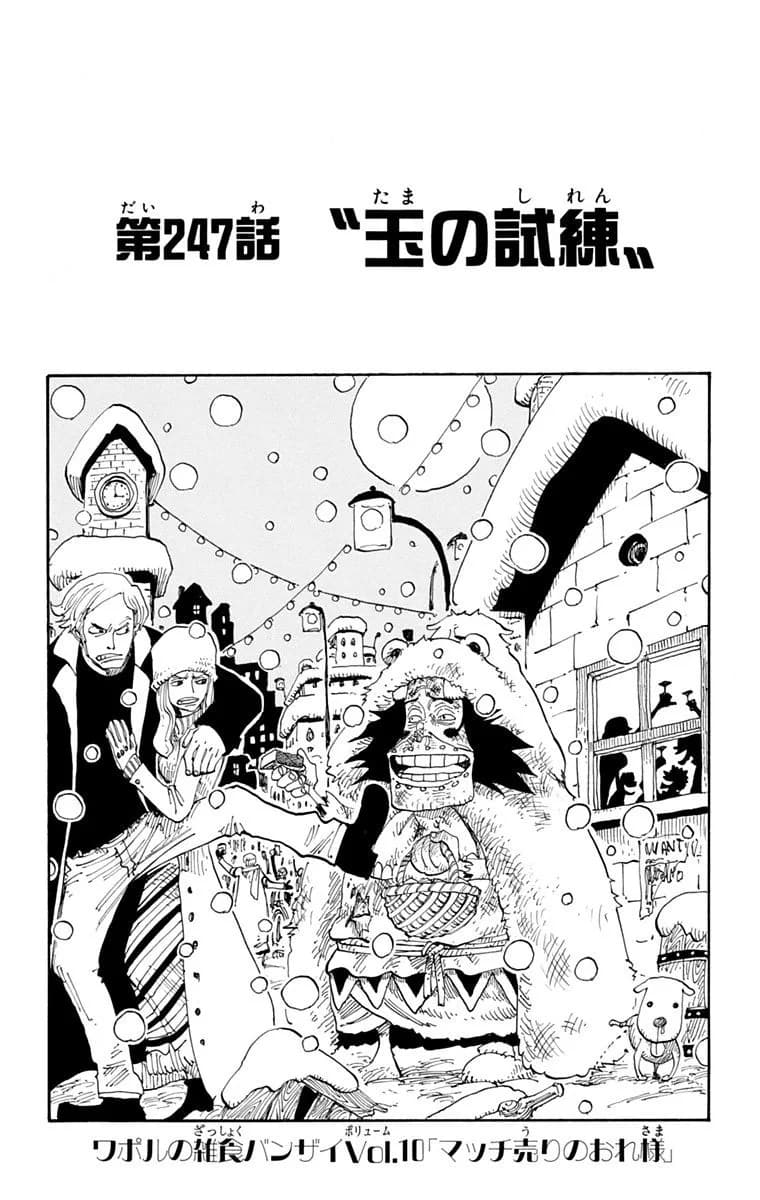 Official cover art of Chapter 247