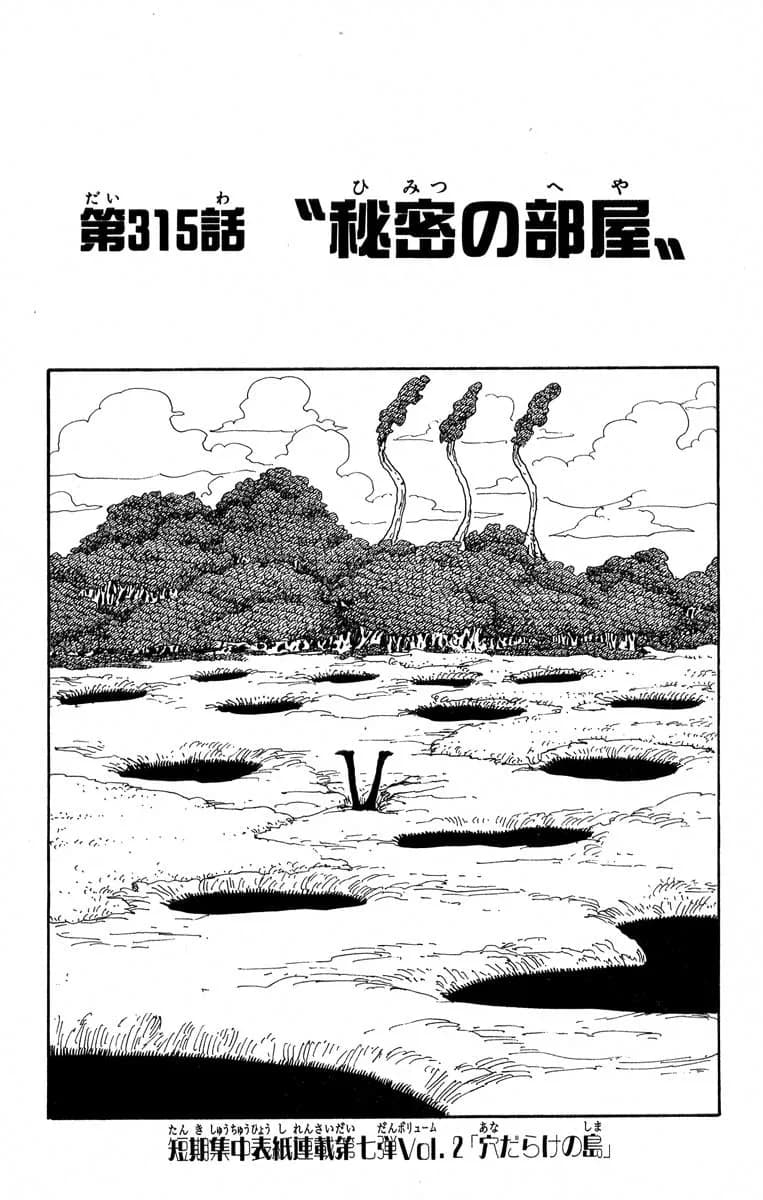Official cover art of Chapter 315