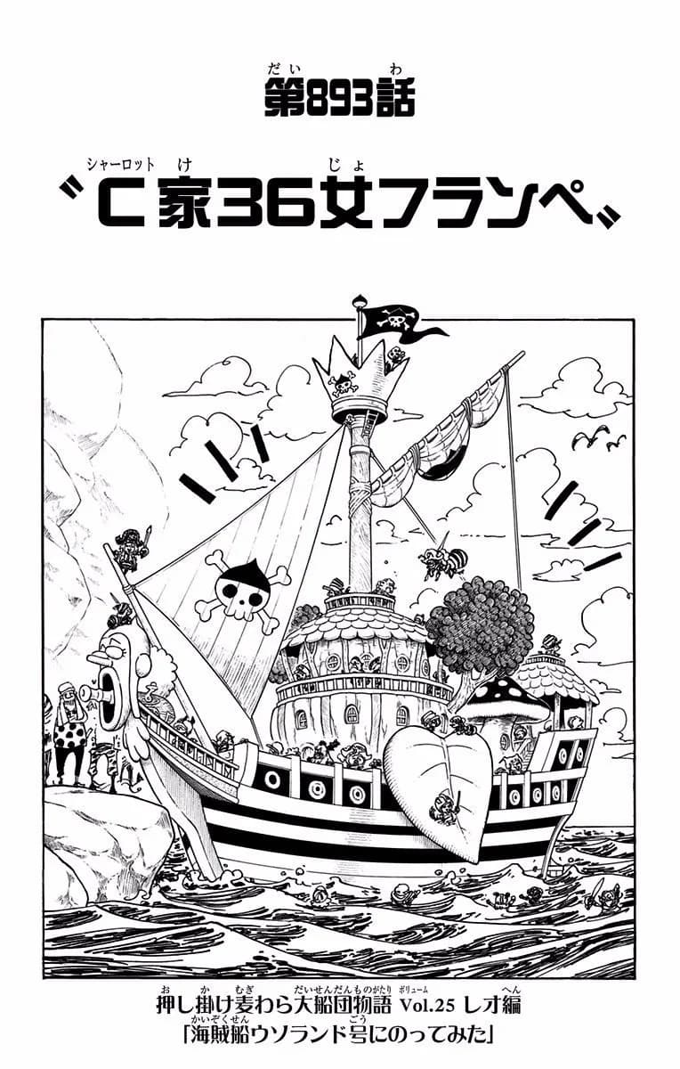Official cover art of Chapter 893