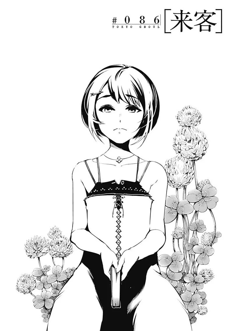 Official cover art of Chapter 86